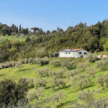 Poggio Ferrone Konuk evi Suvereto Dış mekan fotoğraf