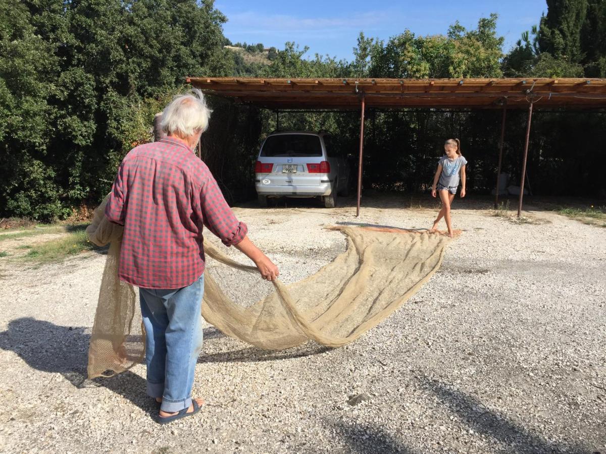 Poggio Ferrone Konuk evi Suvereto Dış mekan fotoğraf