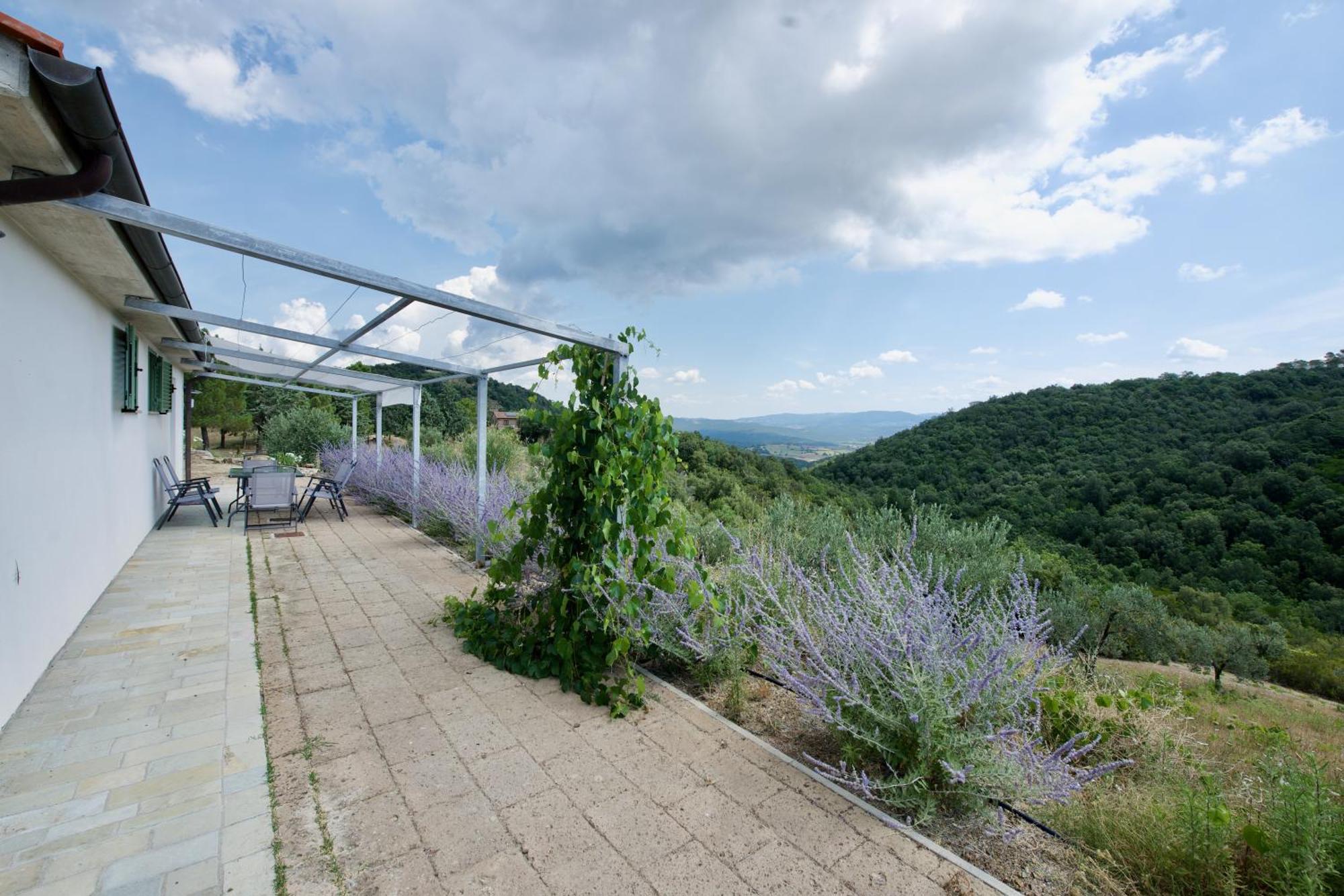 Poggio Ferrone Konuk evi Suvereto Dış mekan fotoğraf