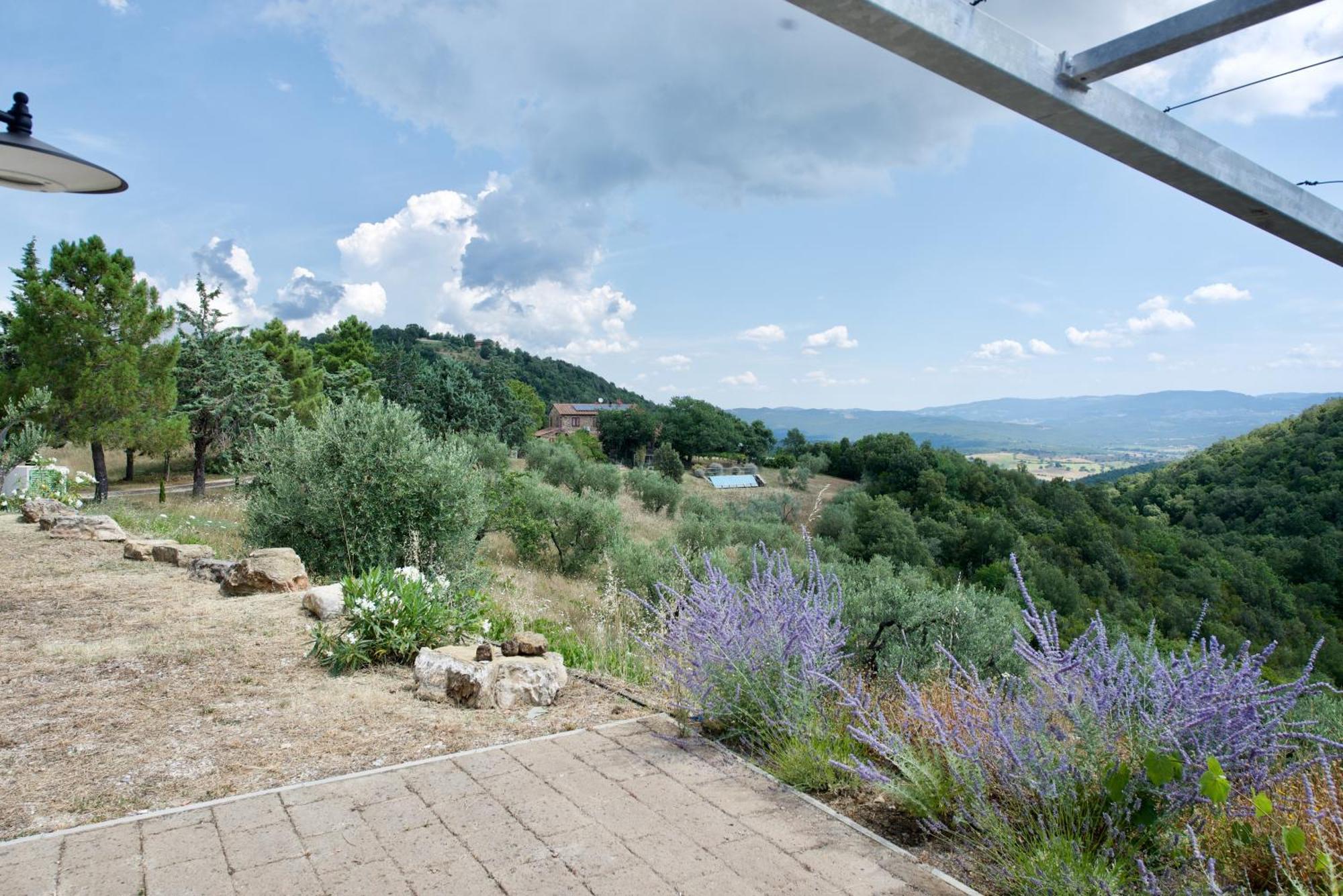 Poggio Ferrone Konuk evi Suvereto Dış mekan fotoğraf