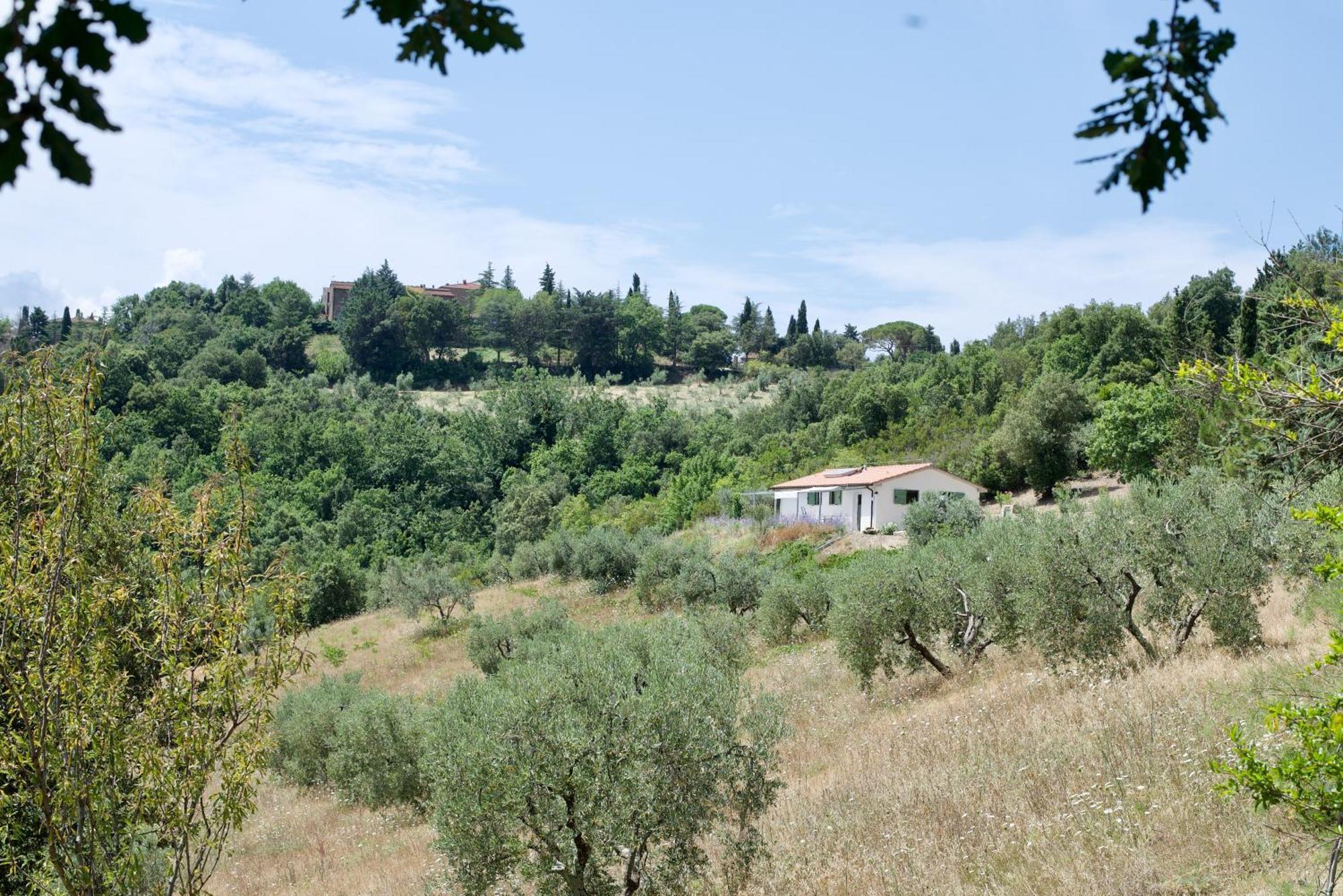 Poggio Ferrone Konuk evi Suvereto Dış mekan fotoğraf