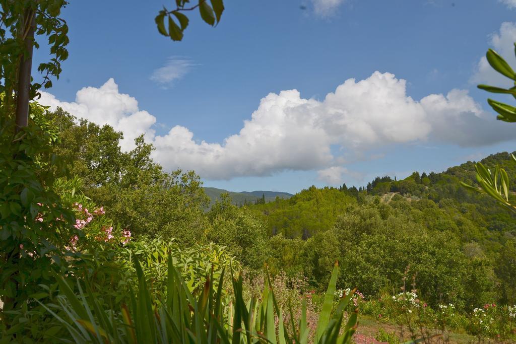 Poggio Ferrone Konuk evi Suvereto Dış mekan fotoğraf